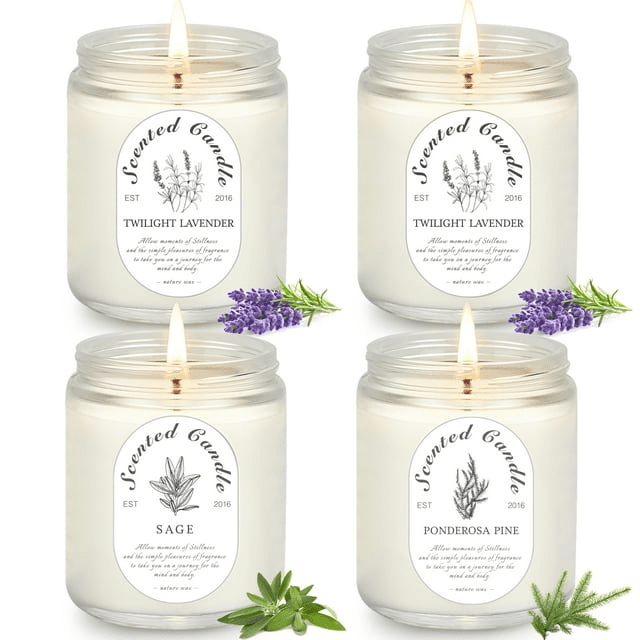 VGGFDY Scented Candles for Women Gift Aromatherapy Soy Wax Candle Set with Strongly Fragrance Jar Candles, 25.4 oz/set VGGFDY Scented Candles for Women Gift Aromatherapy Soy Wax Candle Set with Strongly Fragrance Jar Candles, 25.4 oz/set